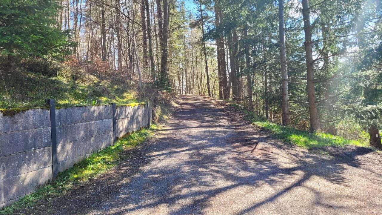 Waldpension Am Koepfchen Kurort Steinbach-Hallenberg ภายนอก รูปภาพ